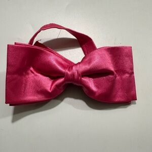 Elegant Pink Bow Tie
